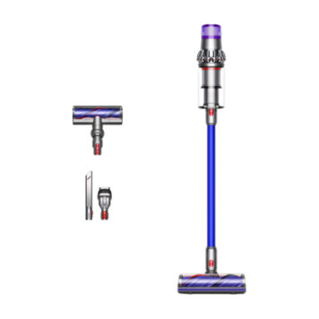 Dyson V11